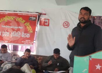 मधेस प्रदेशमा वाईसिएल सक्रिय हुदै