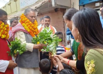 जसपा राष्ट्रिय अध्यक्ष यादवलाई सर्लाहीमा भव्य स्वागत