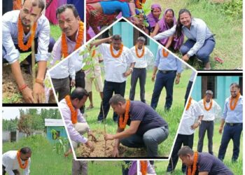 महुली लधुवित्त वित्तीय संस्थाले वृक्षा रोपन गरेर मनाए नबौ वार्षिक उत्सव