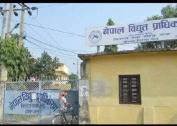 बिधुत प्राधिकरण वीरगंज बितरण केन्द्रको लापरवाहीले सेवाग्राही मर्कामा