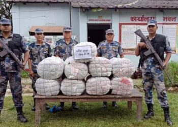 सशस्त्र प्रहरीद्वारा गांजा बरामद