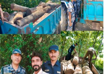 कपिलवस्तु सशस्त्र सीमा बल र नेपाल प्रहरी बन कर्मचारी द्वारा काठ बरामद
