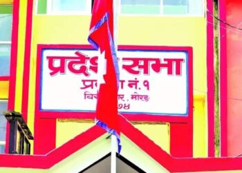 कांग्रेसको संसदीय दलको नेता बन्न प्रदेश १ मा तीन जनाको उम्मेदवारी