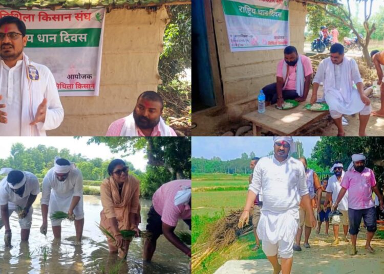 मनरा सिसवमा पुर्व राज्यमन्त्री कुशवाहाले मनाए राष्ट्रिय धान दिवस