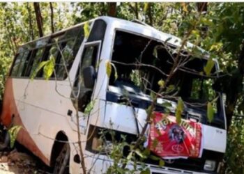 सर्लाहीबाट जन्ती सबार बस धनुषमा दुर्घटना हुँदा १५ जना घाइते