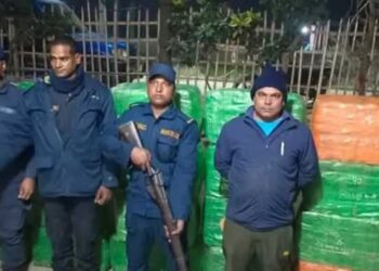 सप्तरीबाट ६७० किलो गाँजा बरामद