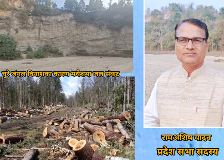 चुरे जंगल विनाशका कारण मधेशमा जल संकट